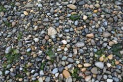 On Discovery Beach, Seattle, Washington