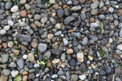 On Discovery Beach, Seattle, Washington
