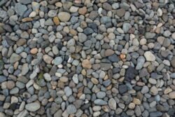 On Discovery Beach, Seattle, Washington