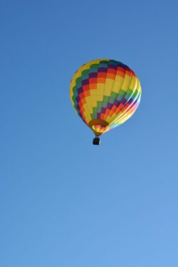 Going Going and Gone