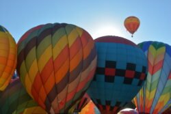 A Cluster of Hot Air Balloons
