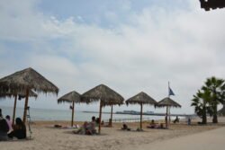 A sand and gravel beach with thatched umbrellas