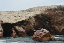 Rocky Formations of the Ballestas Islands of Peru