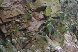 Rocky Formations of the Ballestas Islands of Peru with Inca Terns