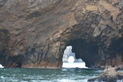 Sea Cave Formations of the Ballestas Islands of Peru