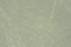 Lines Engraved in The Nazca Desert of Peru -  The Dog
