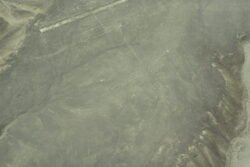 Lines Engraved in The Nazca Desert of Peru - Humming Bird and Straight Lines