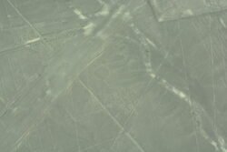 Lines Engraved in The Nazca Desert of Peru - The Octopus