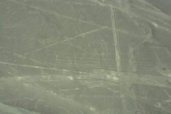 Lines Engraved in The Nazca Desert of Peru - The Parrot and Straight Lines