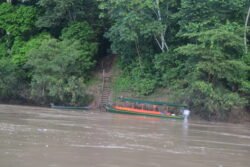 River Landing at the Posada Amazonas Jungle Lodge in Peru