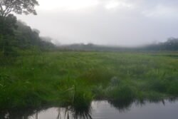 Oxbow Lake Off the Tambopata River in Southeastern Peru
