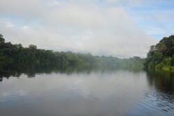 Early Morning on the Tambopata River of Southeastern Peru