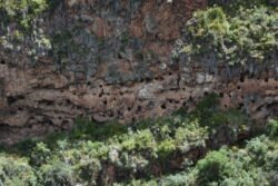 Catacombs of Sacred Valley