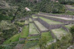 Civil Engineering Terraces of Ollantaytambo Peru