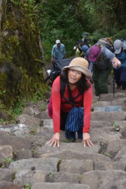 Winnie Climbing Up the Monkey Stairs, Near the end of the Inca Trail in Peru