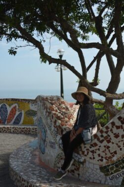 Winnie sitting on a colorful wall of concrete with multi-colored tiles forming decorative patterns. On the edge of a cliff with the ocean in the background.