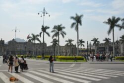 A large open public square surrounded by government buildings, a cathedral, with palm trees in the middle.