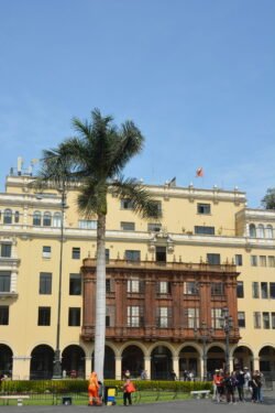 A neoclassical-style government building with palm tree in front.