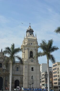 An ornate cathedral bell tower flanked by two large palm trees.