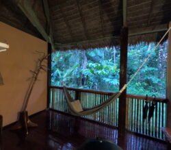 Our Room at the Posada Amazonas Jungle Lodge in Peru