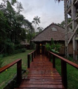 Connecting Walkways at the Posada Amazonas Jungle Lodge in Peru