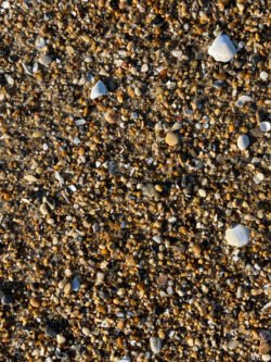 Pebbles on a Beach Along Cape Hatteras