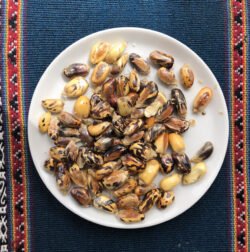 A Plate of Incan Corn