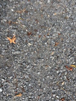 A roadway of crushed grey gravel.