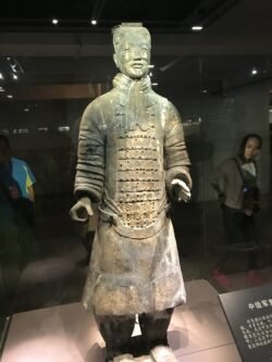 a standing terracotta Warrior inside a protective glass case