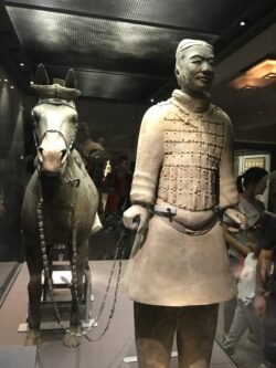a standing terracotta Warrior pulling a terracotta horse inside a protective glass case