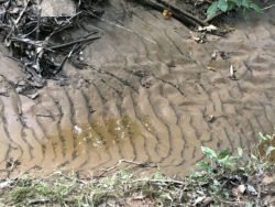 Rivers of Sand