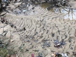 Ripples in the Sand