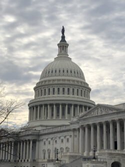 A view of the U.S. Capitol building dome, taken across the National mall separating the Capitol Building from the US Supreme Court building.