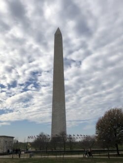 View of the George Washington Memorial