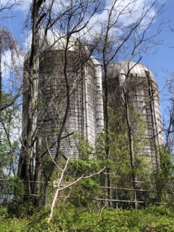 three old grain silos partially covered over with brush growing on and around them