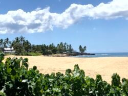 Makaha Beach, Oahu, Hawaii