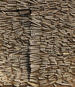 Drying Bamboo