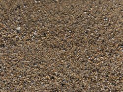 Pebbles on a Beach Along Cape Hatteras