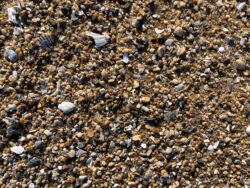 Pebbles on a Beach Along Cape Hatteras