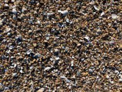 Pebbles on a Beach Along Cape Hatteras