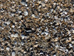 Pebbles on a Beach Along Cape Hatteras