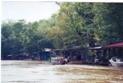 Fish Camps on the Honeywell River, Louisiana