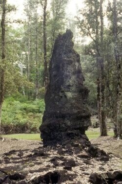 Lava Tree, Big Island of Hawaii