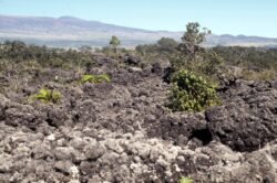 Lava Fields, Big Island of Hawaii