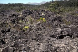 Lava Fields, Big Island of Hawaii