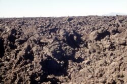 Lava Fields, Big Island of Hawaii