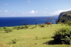 Northeast Coast of the Big Island of Hawaii