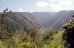 Pololu Valley, Big Island of Hawaii