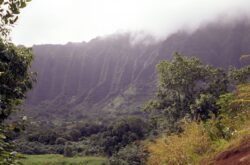 Nu`uanu Pali Cliffs on the Windward Coast of Oahu