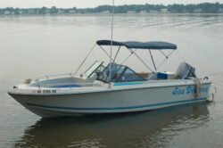 After Rebuilding the Deck